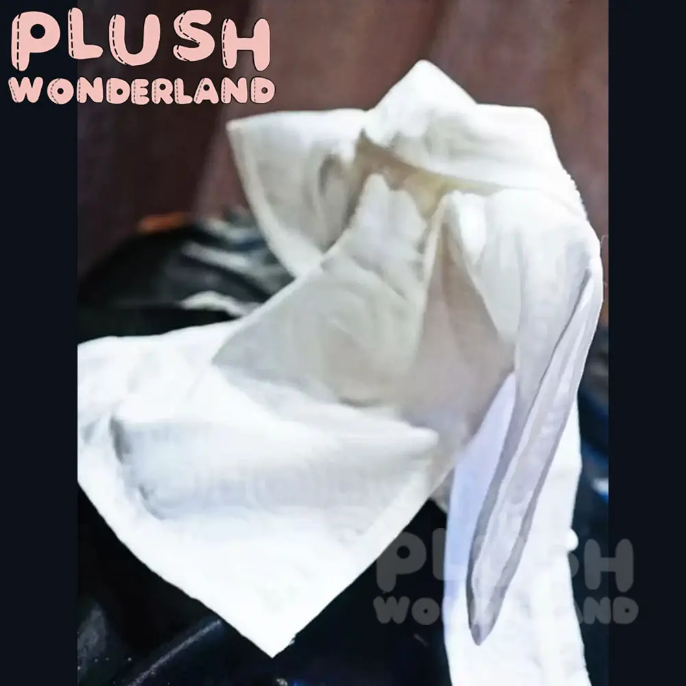 【PRESALE】PLUSH WONDERLAND Traditional Ancient Style White Clothing Set 20CM Doll Clothes - Image 3